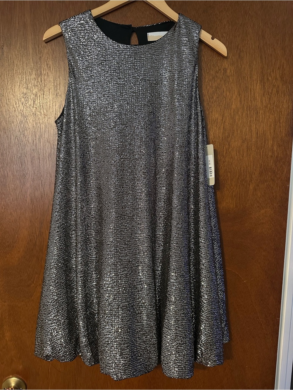 NWT LIZARD THICKET Silver Bubble Dress